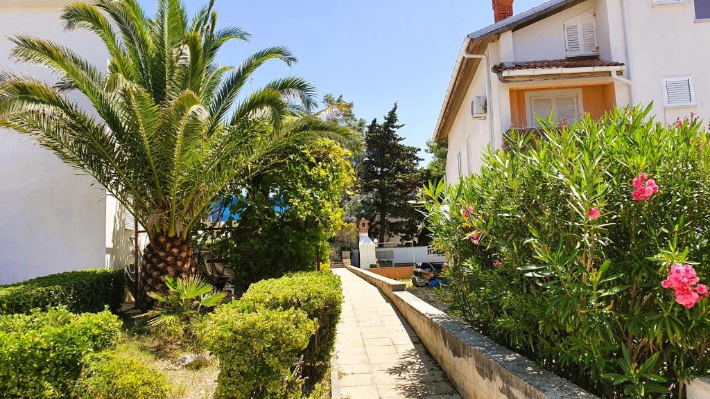 Zrce Apartment | Simic Apartments
