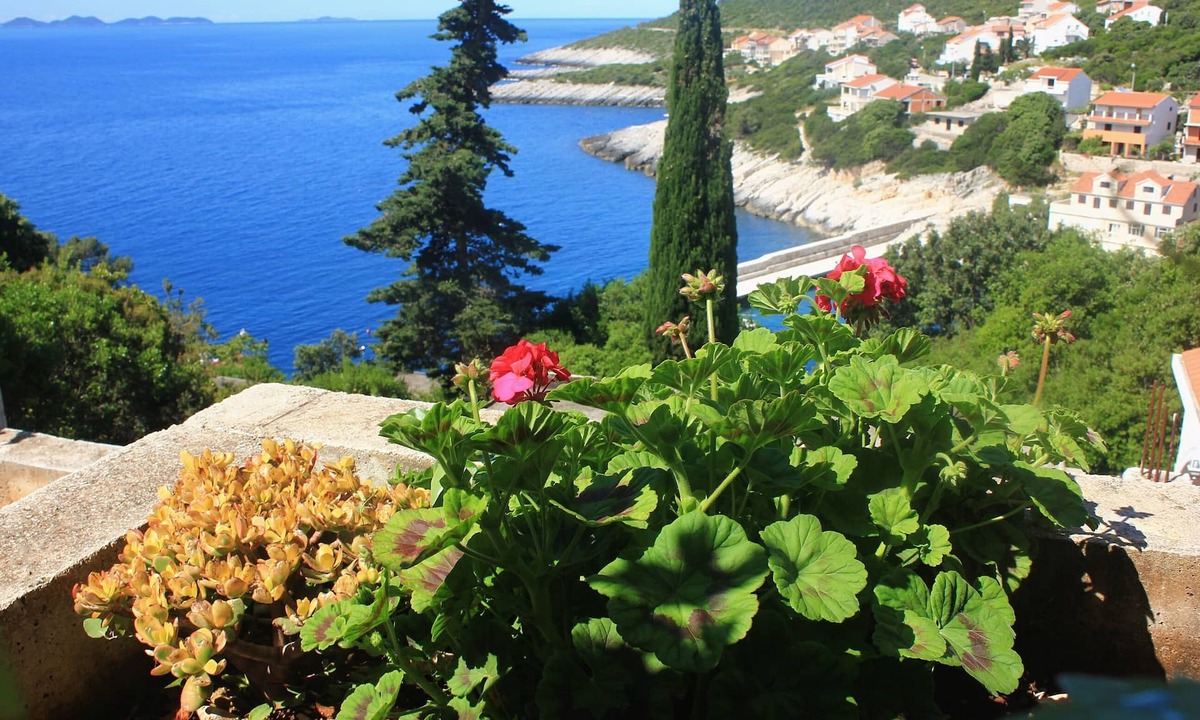 Zavalatica Apartment | Three bedroom apartment with terrace and sea view Zavalatica, Korčula (A-9690-b)