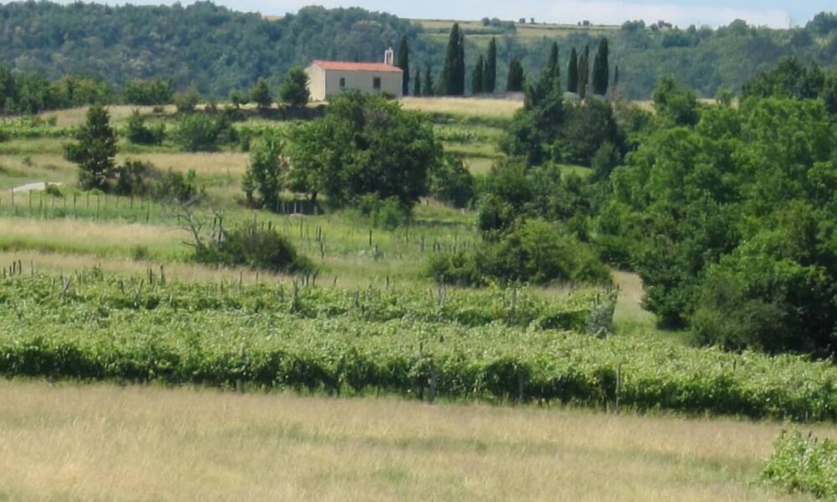 Truske House | Tuscan-Style Stone Hideaway Peaceful Rural Retreat near the Coast