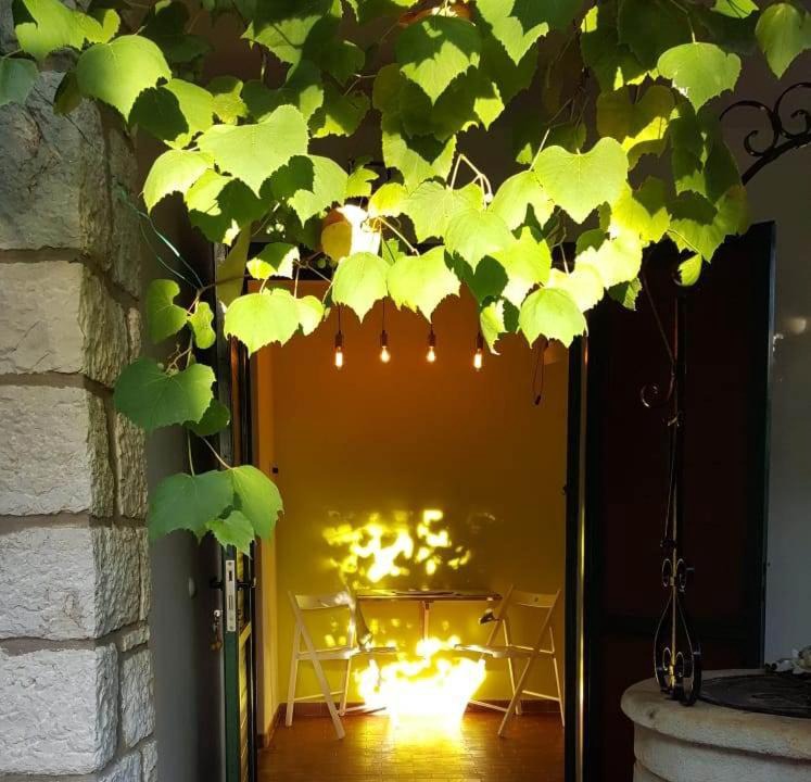 Rovinj House | Villa Csipak