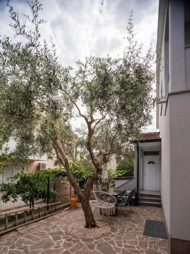 Basanija Apartment | Villa Dvori