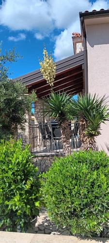 Zbandaj Villa | Villa Zara
