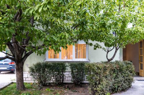Sinj Apartment | Wild