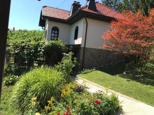 Videm House | Wine & Nature & Tour