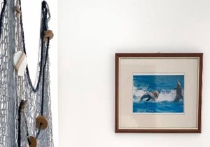 Apartment Marin - 30 m from sea : - Verunic, Island Dugi otok, Croatia in Island Dugi otok