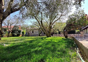 Apartments Darko, (14140), Krk, hr
