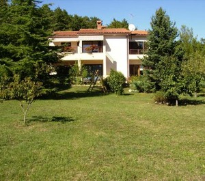 Neda 