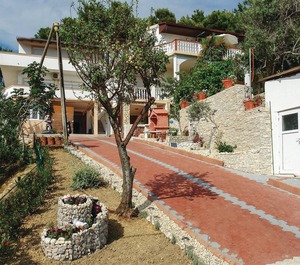 Vlasici 