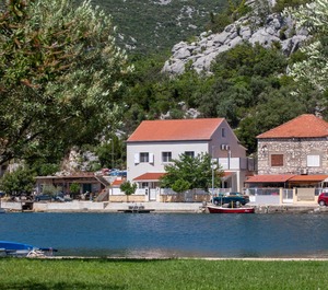 Rogotin 