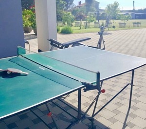 Ground Backyard Table Tennis 