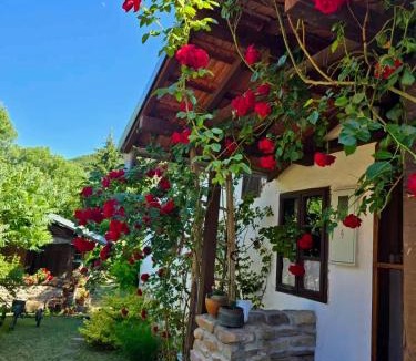 Dimitrovgrad House | Етно кућа Нана Добра
