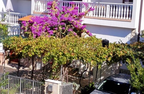 Susica Apartment | 22 m² Apartment ∙ 1 bedroom ∙ 2 guests