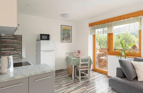Radovljica Apartment | 3 Rivers Apartment