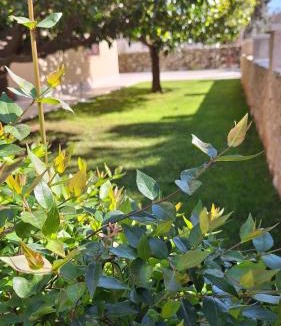 Cavtat Apartment | Antares Apartments