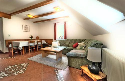 Paka Apartment | Apartma Brin Rogla