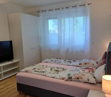 Bezigrad District Apartment | Apartma Ema 1