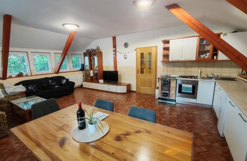 Hocko Pohorje Apartment | apartma Pohorc - Kostanj
