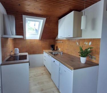Zasip Apartment | Apartma Renata
