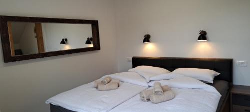 Olimje Apartment | Apartmaji Božiček