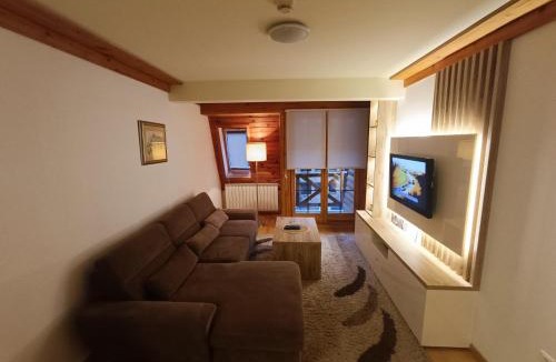 Jahorina Apartment | Apartman 310- Aparthotel Vučko Jahorina privatni apartman