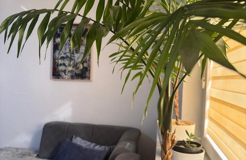Gradiska Apartment | Apartman Emilija