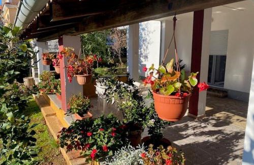 Valdebek Apartment | Apartman Grgurevic