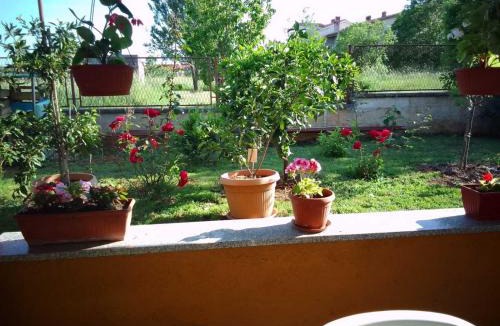 Valdebek Apartment | Apartman Grgurevic