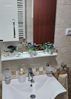 Pozarevac Apartment | Apartman Panorama 2