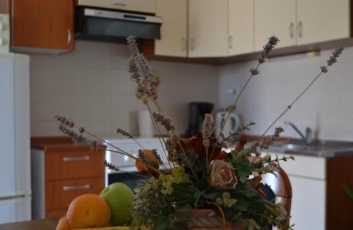 Vrh Apartment | Apartman Renata