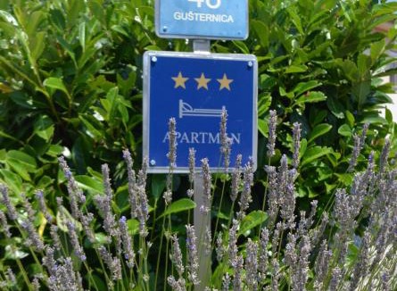 Vrh Apartment | Apartman Silvija