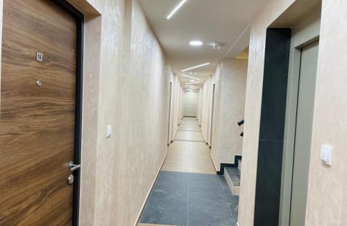 Veliko Gradiste Apartment | Apartmani Zivkovic Srebrno Jezero