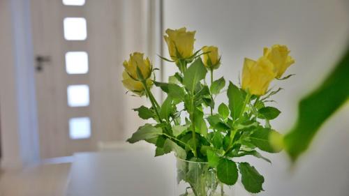 Samobor Apartment | Apartment Ambienta Samobor
