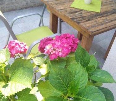 Pula Apartment | Apartment Anny