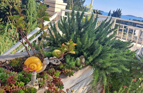 Brasina Apartment | Apartment Blue Pearl
