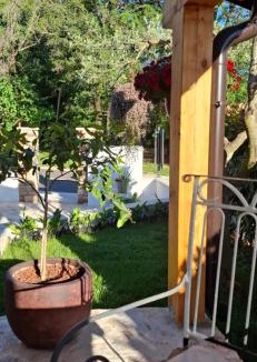 Valica Apartment | Apartment Damiani