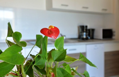 Susica Apartment | Apartment Goranka 5