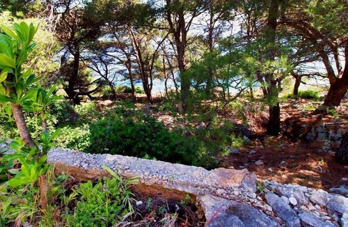 Donje Selo Apartment | Apartment Jagoda - next to the sea: SA1(2) - Cove Donja Krusica (Donje selo), Island Solta,
