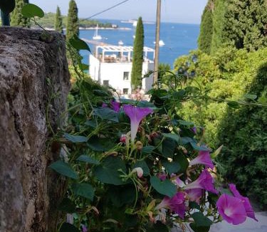 Cavtat Apartment | Apartment Miso