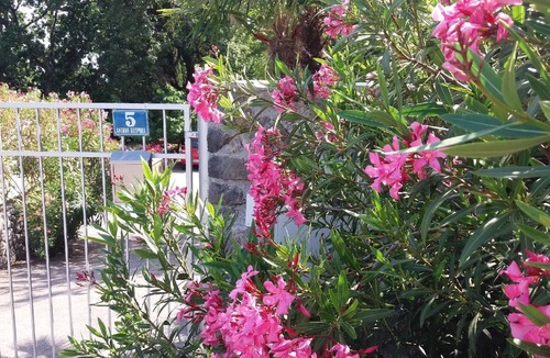 Opatija House | Apartment Oleandri A2 with sea view balcony