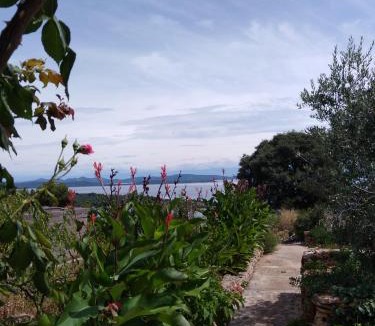 Island Dugi Otok Apartment | Apartment Ruza