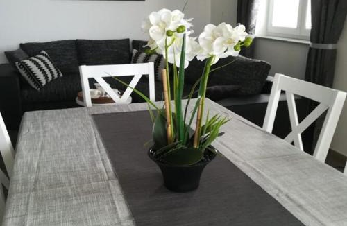 Karlobag Apartment | Apartment Villa Bijele Stijene - Two Bedroom Apartment with Terrace and Sea View