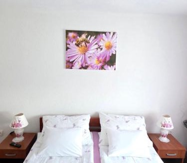 Korenica Apartment | Apartments Žegarac House