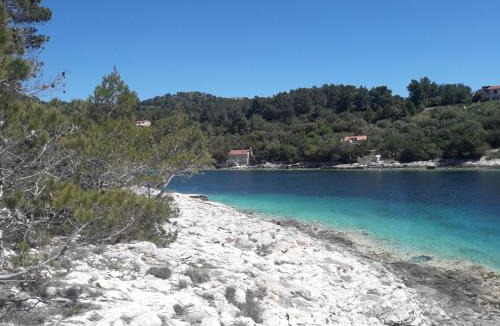 Vela Luka Apartment | Apartments Bonaparte
