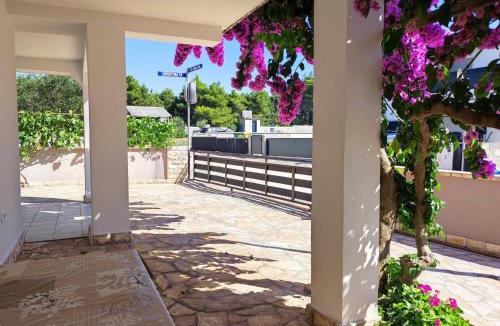 Vir Apartment | Apartments Jolić