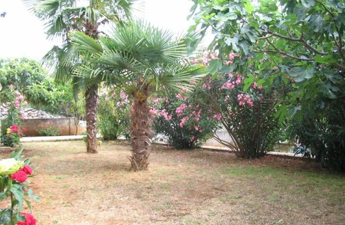 Vodice Apartment | Apartments Maria