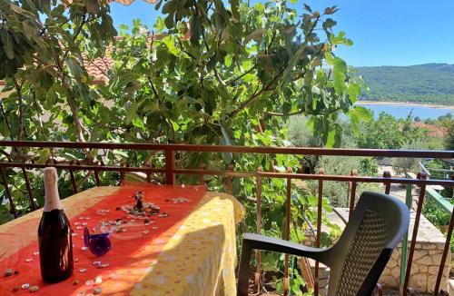Cizici House | Apartments Santic