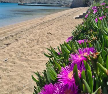 Vlasici Apartment | Apartments Simurina