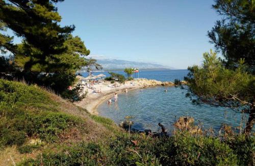 Suha Punta Apartment | Apartments Suha Punta - Crnic