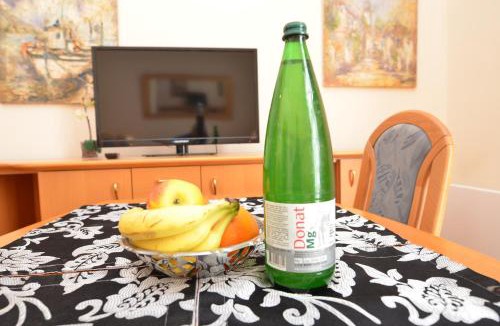Rogaska Slatina Apartment | Apartments Vektor Vila Golf