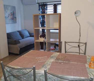 Vintijan Apartment | Apartments ZP44